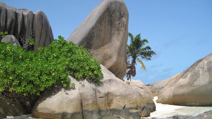 seychelles-795230_1280.jpg